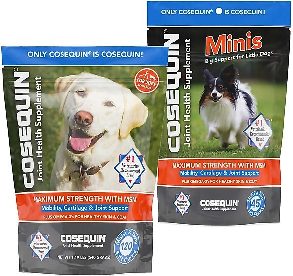 Nutramax Cosequin (DS) Plus MSM Soft Chews Joint Health Dog Supplement, 120 count & Nutramax Cosequin Maximum Strength with MSM Plus Omega-3's Mini Soft Chews Joint Health Small Dog Supplement, 45 count slide 1 of 9