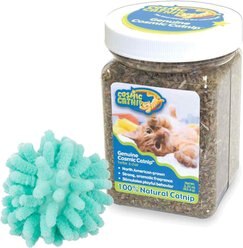 OurPets Cosmic Catnip, 2.25-oz jar & Frisco Moppy Ball Cat Toy, Blue