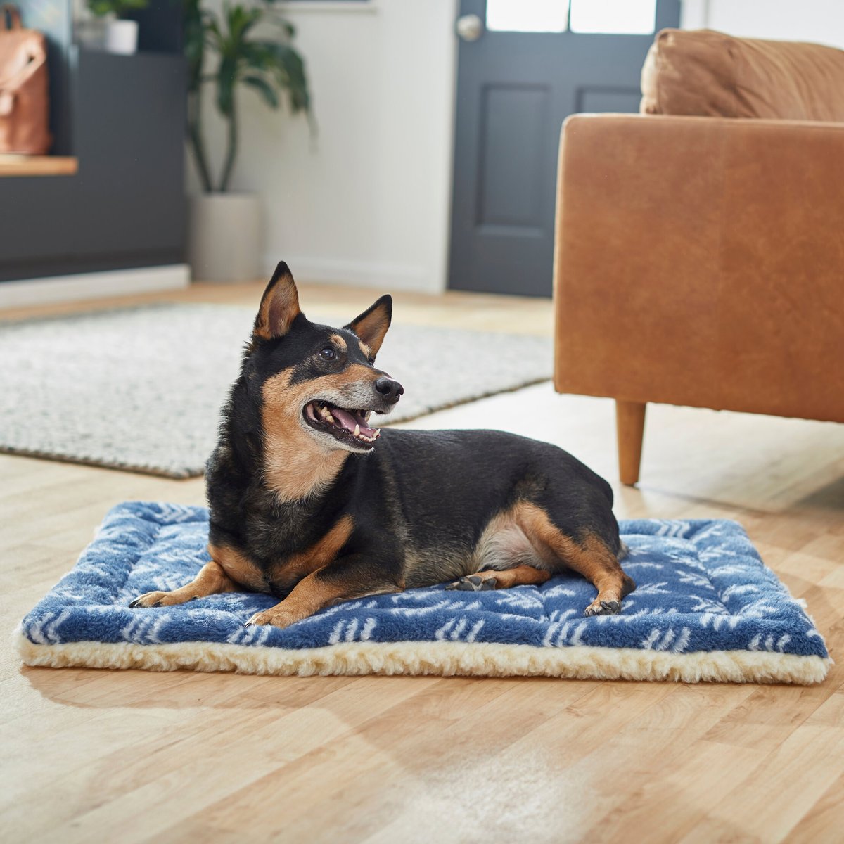 FRISCO Plush Trifold Arrow Print Dog Crate Mat, 42in