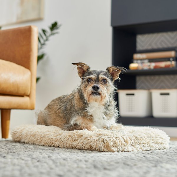 Frisco Eyelash Orthopedic Dog Crate Mat, Sand, 48-in slide 1 of 7