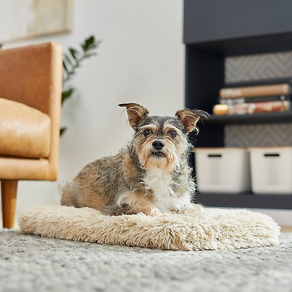 Frisco Eyelash Orthopedic Dog Crate Mat, Sand, 54-in slide 1 of 7