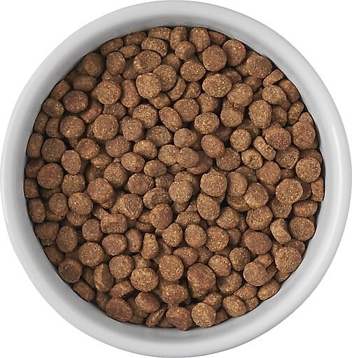 Frisco Cat Print Non-skid Elevated Ceramic Cat Bowl, Short, 1 cup, 1 count