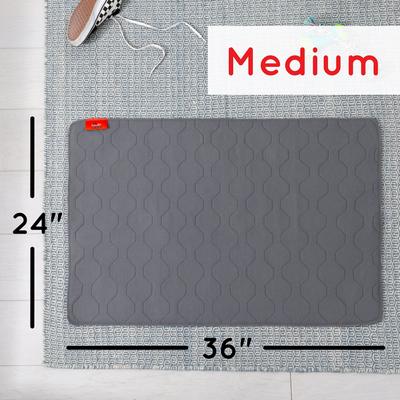 Show full view: Brindle Washable Puppy Training Pad, 2 count, 24 x 36 slide 3 of 10