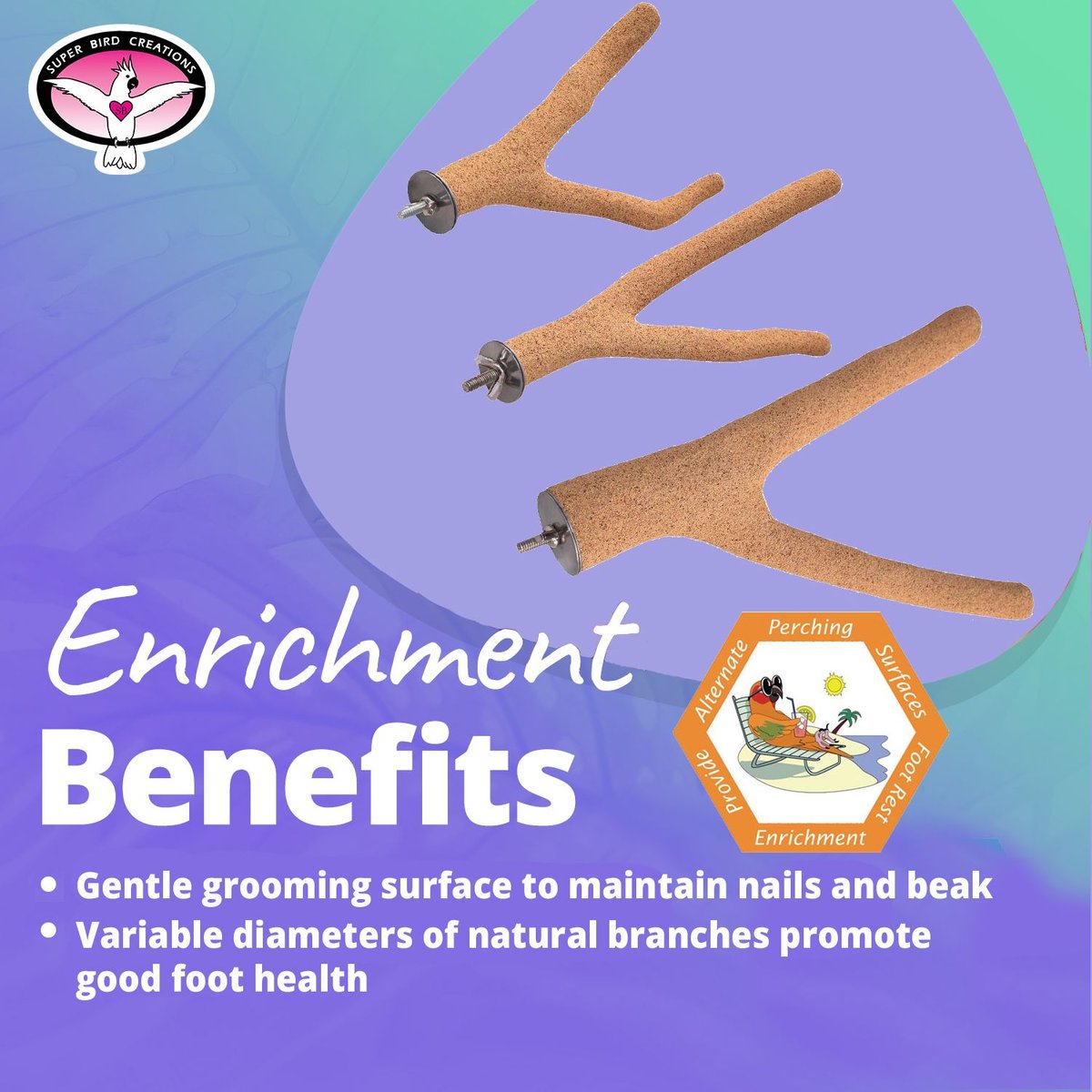 SUPER BIRD CREATIONS SureGrip Grooming Y Bird Perch, Small