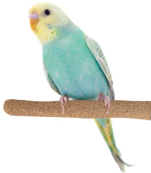 Sure-Grip Y Perch Small by Super Bird Creations