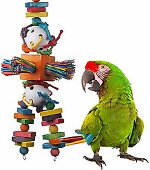 Super Bird Creations Willy Nilly Bird Toy, Large/ X-Large