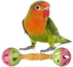 Super Bird Creations Birdie Barbell, Small/Medium, 3 count slide 1 of 5