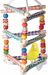 Super Bird Creations Finger Trap Pagoda Bird Toy, Small/Medium