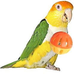 Super Bird Creations Birdie Balls Small & Medium Bird Toy, 4 count, Medium