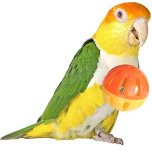 Super Bird Creations Birdie Balls Small & Medium Bird Toy, 4 count, Medium