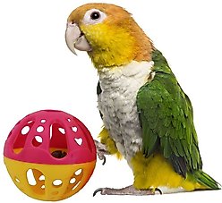 Super Bird Creations Birdie Balls Medium Bird Toy, 4 count, Large