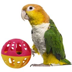 Super Bird Creations Birdie Balls Medium Bird Toy, 4 count, Large