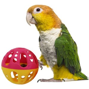 Super Bird Creations Birdie Balls Medium Bird Toy, 4 count, Large