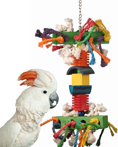 Super Bird Creations In the Groove Bird Toy, X-Large slide 1 of 9