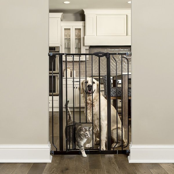 Carlson Pet Products 36-in Extra Tall Dog Gate, Large, Black slide 1 of 2