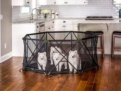 Carlson Pet Products Eight Panel Portable Deluxe Dog Pen, Green, Large