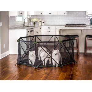 Carlson Pet Products Eight Panel Portable Deluxe Dog Pen, Green, Large