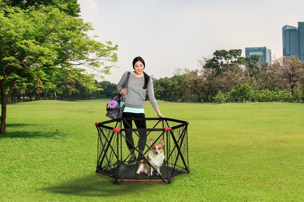 CARLSON PET PRODUCTS Six Panel Portable Dog Pen Red Large