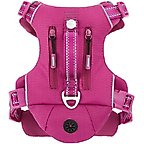 Boysenberry Purple