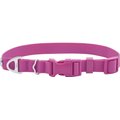 Frisco Outdoor Solid Textured Waterproof Stink Proof PVC Dog Collar, Boysenberry Purple, Extra Small, Neck: 8-12-in, Width: 5/8th -in