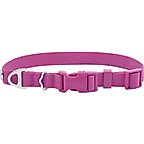 Boysenberry Purple