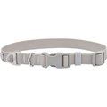 Frisco Outdoor Solid Textured Waterproof Stink Proof PVC Dog Collar, Storm Gray, Small - Neck: 10-14-in, Width: 5/8-in
