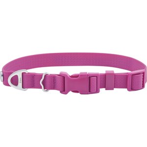 Frisco Outdoor Solid Textured Waterproof Stink Proof PVC Dog Collar, Boysenberry Purple, Small - Neck: 10-14-in, Width: 5/8-in