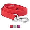 Frisco Outdoor Solid Textured Waterproof Stink Proof PVC Dog Leash, Sunset Orange, Medium - Length: 6-ft, Width: 3/4-in 