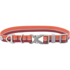 Frisco Outdoor Two Toned Waterproof Stink Proof PVC Dog Collar, Mars Red, XS - Neck: 8-12-in  W: 5/8th -in