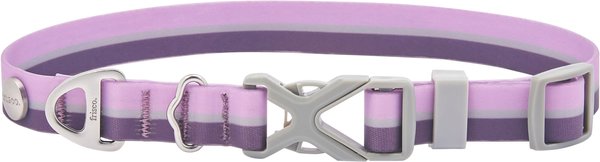 Frisco Outdoor Two Toned Waterproof Stink Proof PVC Dog Collar, Boysenberry Purple, Small - Neck: 10-14-in, Width: 5/8-in slide 1 of 5