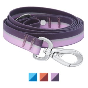 Frisco Outdoor Two Toned Waterproof Stink Proof PVC Dog Leash, Boysenberry Purple, Medium - Length: 6-ft, Width: 3/4-in