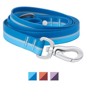 Frisco Outdoor Two Toned Waterproof Stink Proof PVC Dog Leash, River Blue, Medium - Length: 6-ft, Width: 3/4-in