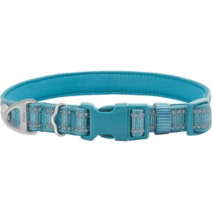 Frisco Outdoor Nylon Reflective Comfort Padded Dog Collar, Bayou Teal, Extra Small, Neck: 8-12-in, Width: 5/8th-in