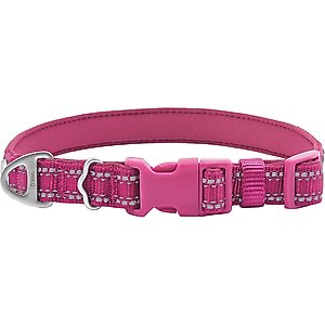 Frisco Outdoor Nylon Reflective Comfort Padded Dog Collar, Boysenberry Purple, Large, Neck: 18 -26-in, Width: 1-in