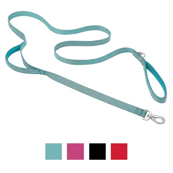 Frisco Outdoor Nylon Reflective Comfort Padded Dog Leash, Bayou Teal, Small - Length: 6-ft, Width: 5/8-in slide 1 of 7