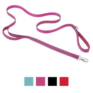 Frisco Outdoor Nylon Reflective Comfort Padded Dog Leash, Boysenberry Purple, Small - Length: 6-ft, Width: 5/8-in