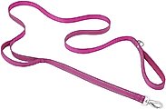 Frisco Outdoor Nylon Reflective Comfort Padded Dog Leash, Boysenberry Purple, Small - Length: 6-ft, Wi...