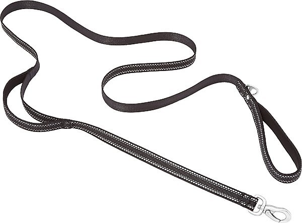 Frisco Outdoor Nylon Reflective Comfort Padded Dog Leash, Sapphire Navy, LG - Length: 6-ft, Width: 1-in slide 1 of 7