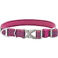 Frisco Outdoor Comfort Print Nylon Padded Dog Collar, Boysenberry Purple, Medium - Neck: 14-20-in, Width: 3/4-in