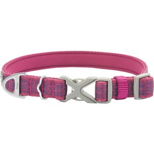Frisco Outdoor Comfort Print Nylon Padded Dog Collar, Boysenberry Purple, Medium - Neck: 14-20-in, Width: 3/4-in