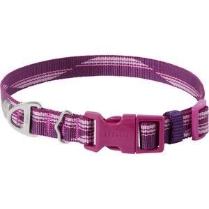 Frisco Outdoor Woven Jacquard Nylon Dog Collar, Boysenberry Purple, Small - Neck: 10-14-in, Width: 5/8-in