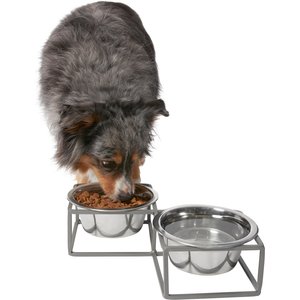 Frisco Diamond Non-skid Elevated Double Dog & Cat Bowl, 4 Cup