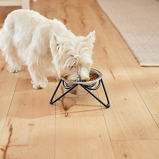 Frisco Elevated Triangle Iron Stand Dog & Cat Single Bowl Diner, Medium: 3 cup