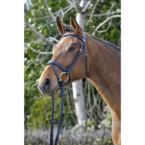 Stübben Waterford Horse Bridle, Black, Cob