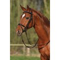Stübben Leitrim Horse Bridle, Black, Cob