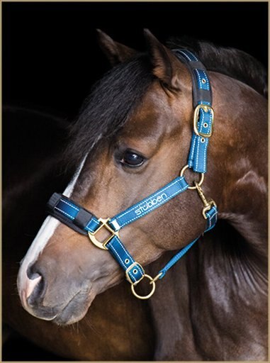 Stübben Reflective Horse Stable Halter, Blue, Full