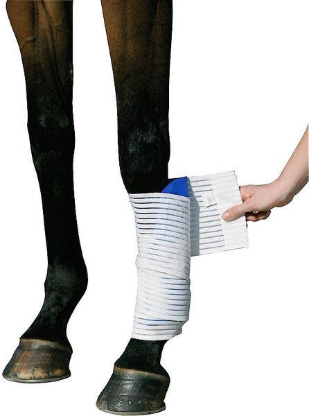 Stübben Kryo Kompakt Horse Elastic Bandage, White slide 1 of 1