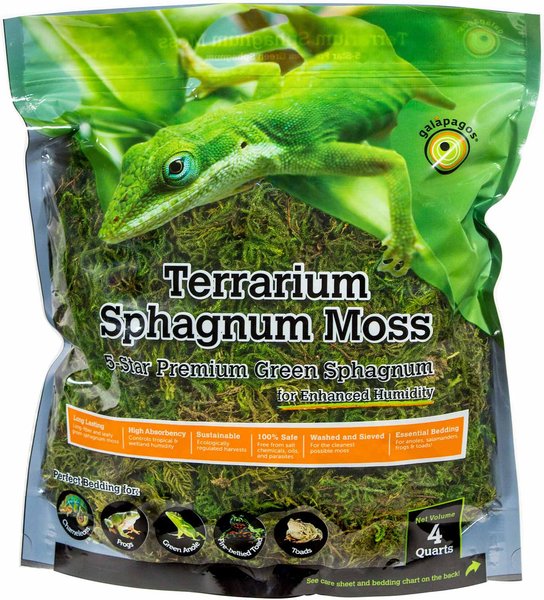 Galapagos Sphagnum Reptile, Amphibian & Insect Terrarium Moss, Fresh Green, 4-qt bag slide 1 of 6