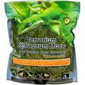 Galapagos Sphagnum Reptile, Amphibian & Insect Terrarium Moss, Fresh Green, 4-qt bag