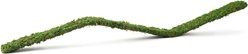 Galapagos Flexible Bridge Terrarium Ornament, Fresh Green, 36-in